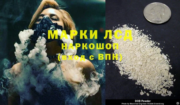 винт Алзамай