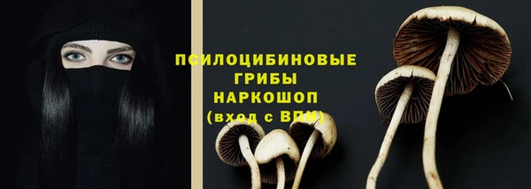 винт Алзамай
