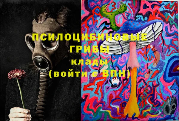 тгк Алексин