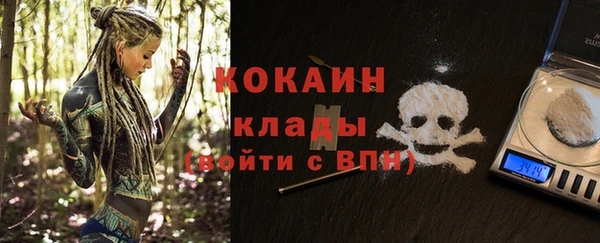 тгк Алексин