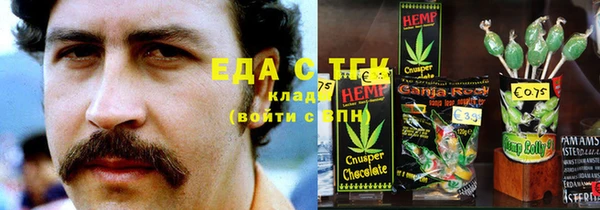 тгк Алексин