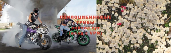 бошки Алексеевка