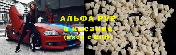 винт Алзамай