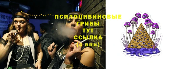 винт Алзамай